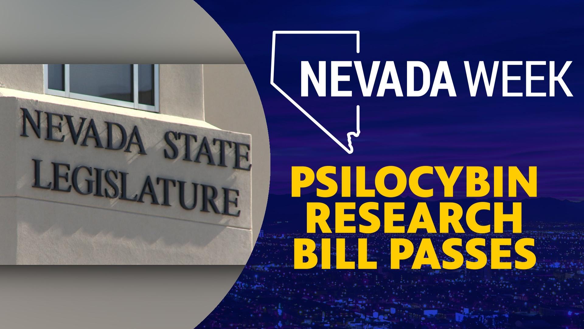 Psilocybin Research Bill Passes