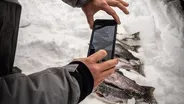 Sight-fishing Rainbows