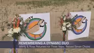 Memorial for Chicago’s Piping Plovers Monty and Rose