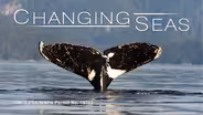 Vanishing Whales