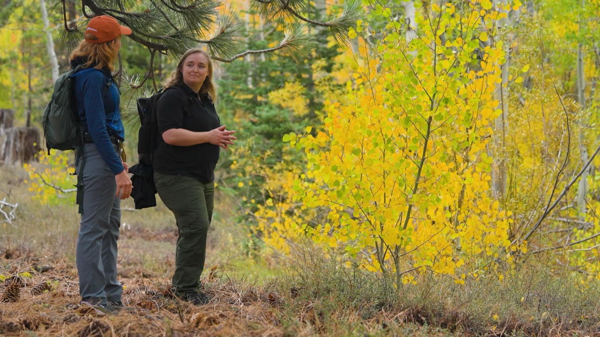 Exploring spectacular locales and ways to enjoy the autumn hues in northern Nevada.