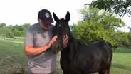 How a former police officer found direction rescuing horses
