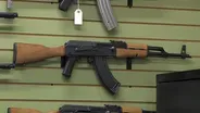 NWN 810 Assault Weapons Conversation Continues