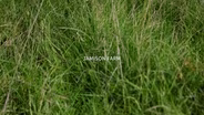 Jamison Farms Official Trailer