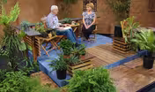 Fantastic Ferns for Indoors & Garden