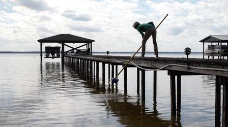 Video thumbnail: SCI NC How Lake Waccamaw got rid of hydrilla
