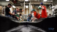 Illinois State University Solar Car Team