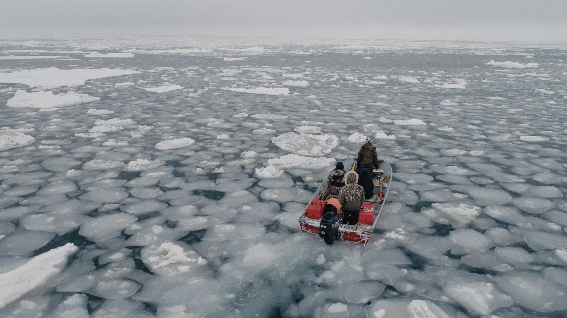 a small aluminum with an outboard motor with 3 people onboard heading out into a frozen ocean with areas of ice barely allowing the boat to pass. The image is from an above angle making the landscape seem emence and the boat seem small