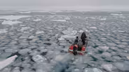 Trailer | One With the Whale
