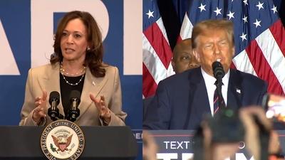 DNC Discussion; Harris-Trump Race