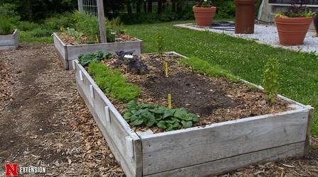 Video thumbnail: Backyard Farmer Raised Bed Gardening