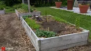 Raised Bed Gardening