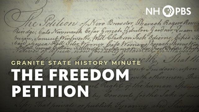 The Freedom Petition