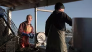 Saving Chesapeake Bay: A Cleaner Future