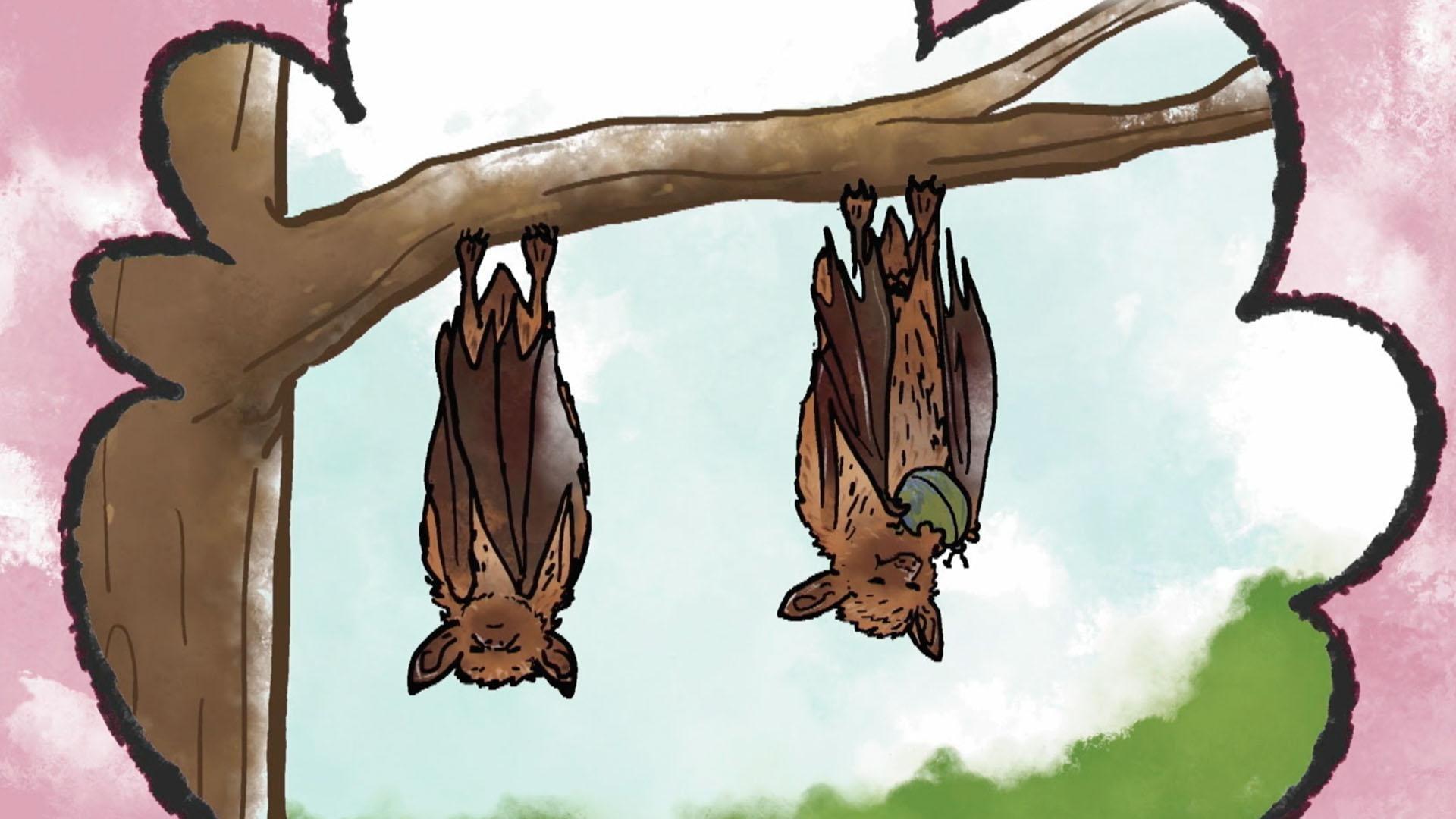 That's So Interesting!: Why Do Bats Like to Hang Upside Down?