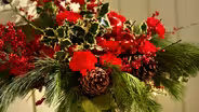 Holidays for Blooms