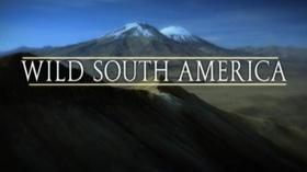 Video thumbnail: Vegas PBS Wild South America Promo