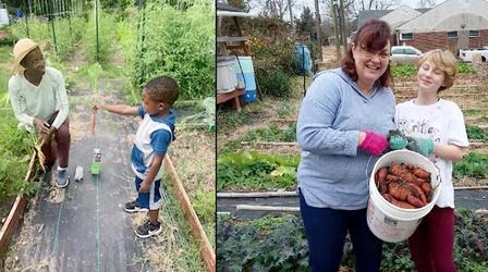 Video thumbnail: Virginia Home Grown VHG Clippings: Community Gardens