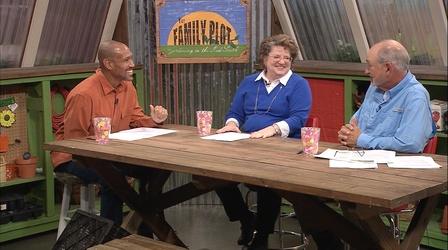 Video thumbnail: The Family Plot Daffodils & Pre-Emerge Herbicides