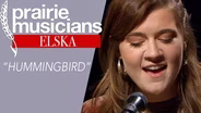 ELSKA "Hummingbird"