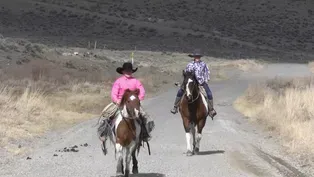Cowboy Kids