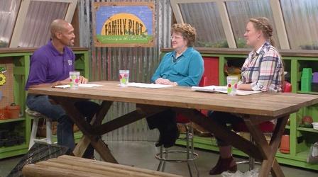 Video thumbnail: The Family Plot Chamaecyparis and Spiraea & Working with Landscape Pros