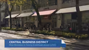 Chicago Loop Alliance on Future of Financial District