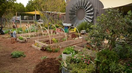 Video thumbnail: Central Texas Gardener Rough Land into Wonderland