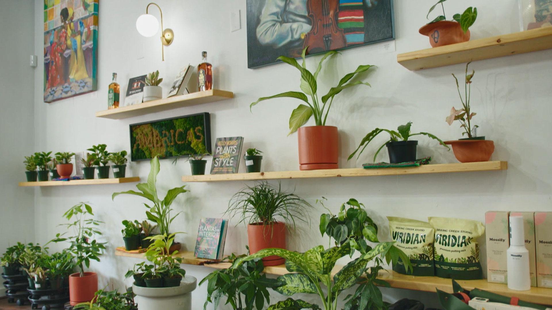 Artworks host Wendel Patrick at the Baltimore-based shop to discover the Art of Stem and Vine.