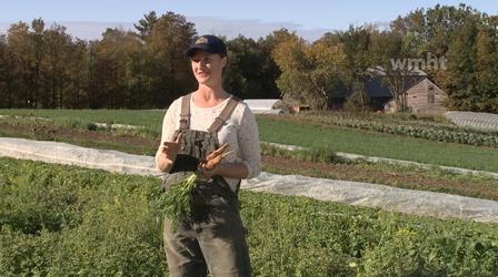 Video thumbnail: The Local Feed Annie: Why I Farm