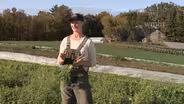 Annie: Why I Farm