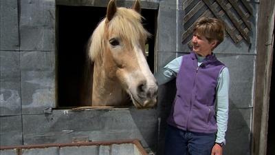 Livestock Veterinarian