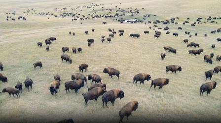 Video thumbnail: Wish You Were Here Wish You Were Here: Return to Wild Idea Buffalo Ranch
