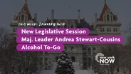 New Session, Senate Majority Leader Andrea Stewart-Cousins