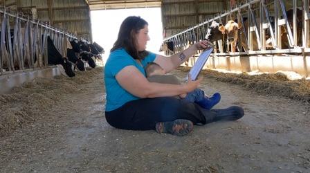 Video thumbnail: PBS American Portrait A Dairy Farmer Explains Her Passion For Her Work