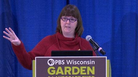 Video thumbnail: University Place Promote Healthy Honey Bees and Native Pollinators