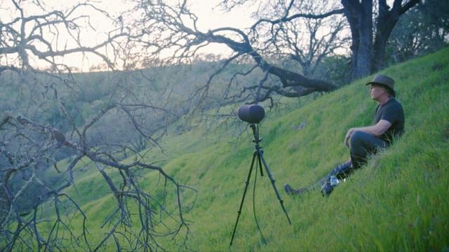 Listening to the Natural World