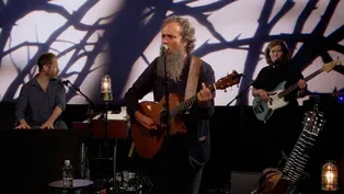 Iron & Wine: “Singers and the Endless Song”