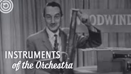 The Bassoon and the Woodwinds