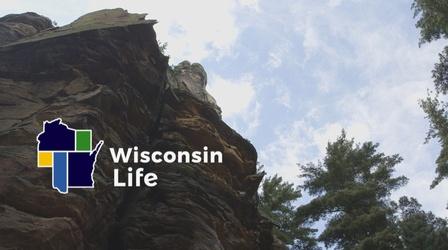 Video thumbnail: Wisconsin Life Woodland Wonders