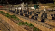 Farm to table garden