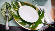 All Foliage: Living Green