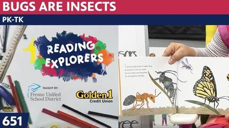 Video thumbnail: Reading Explorers PK-TK-651: Bugs Are Insects