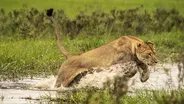 Okavango: River of Dreams - Episode 1: Paradise