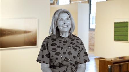 Video thumbnail: Art Elevated: The Governor's Mansion Artist Awards Diane Stewart