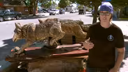 Bemidji Scuplture Walk & Kathy Sanders
