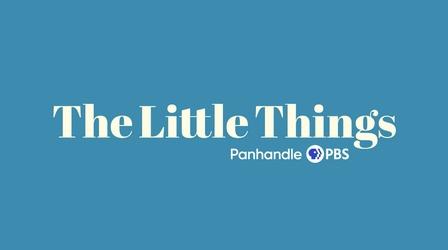 Video thumbnail: The Little Things Why & Why Now