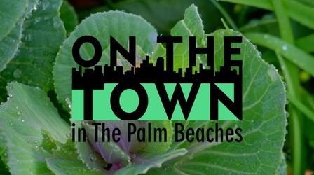 Video thumbnail: On The Town Mounts Botanical Garden & Edible Garden