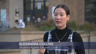 La Ultima Palabra: Alexandra Collins
