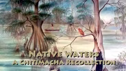 Native Waters: A Chitamacha Recollection